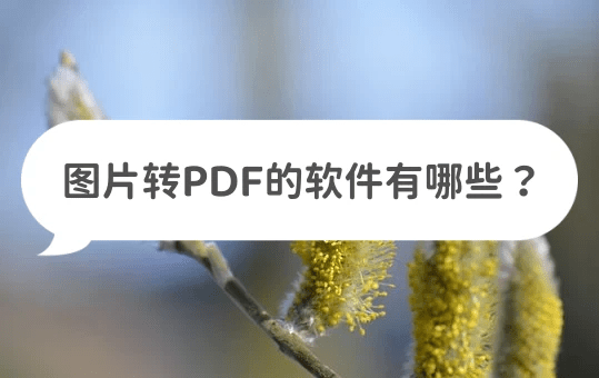 图片转PDF的免费软件有哪些？尝尝那几款软件