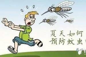 蚊虫叮咬，怎么办？