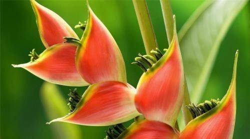 ���Ǯ���ƣ��������ң��������ȫ��Խ��Խ������Ĵ���Ф ...