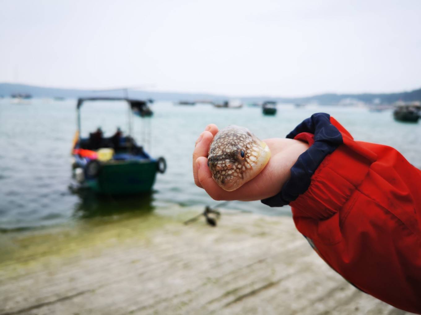 遨游北海涠洲岛