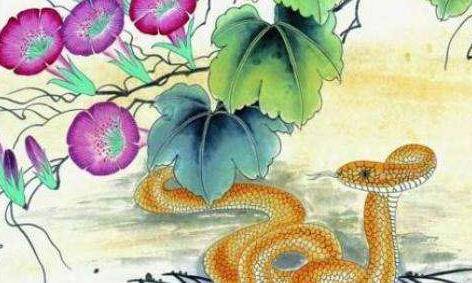 梦游蛇影，朋友家中的不速之客——解析梦中蛇现与人际关系的微妙暗示