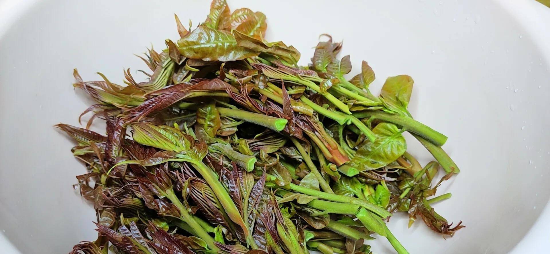 香椿直接吃是大错，酒店大厨教我正确做法，香味浓郁，健康又营养