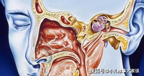 小儿推拿杨晓：孩子咳嗽老不好？警惕鼻后滴漏综合征作祟！
