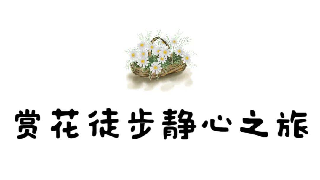 古羌传奇物品代码,古羌传奇70以后去哪里升级 古羌传奇物品代码,古羌传奇70以后去哪里升级