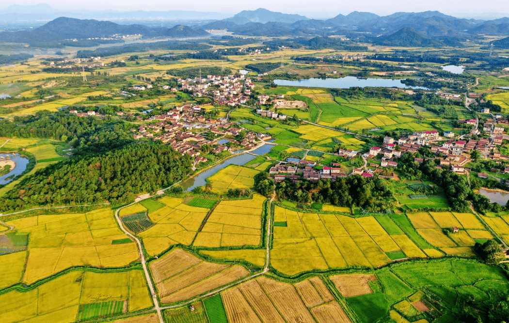 宜春学院_宜春_宜春天气