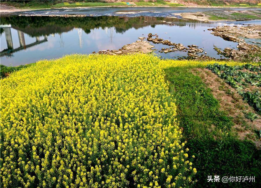 农家乐重出江湖泸州这片区域未来必将成为一张特别的名片开云APP 开云官网入口(图8)