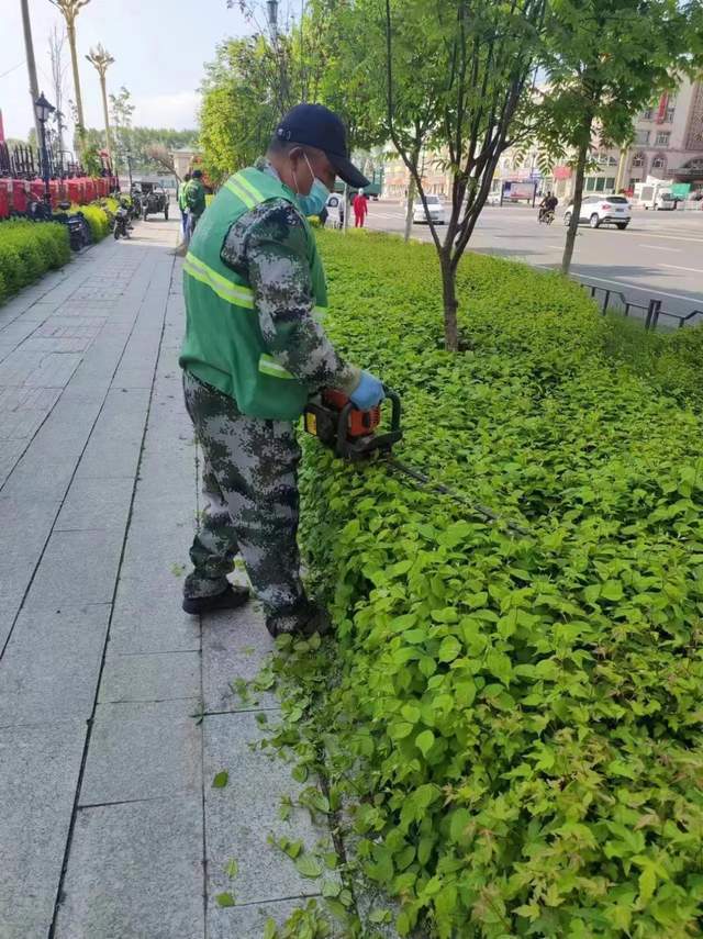 双鸭山市友谊县园林绿化服务中心持续发力提开云体育 开云平台成效 全力以赴助创城(图2)