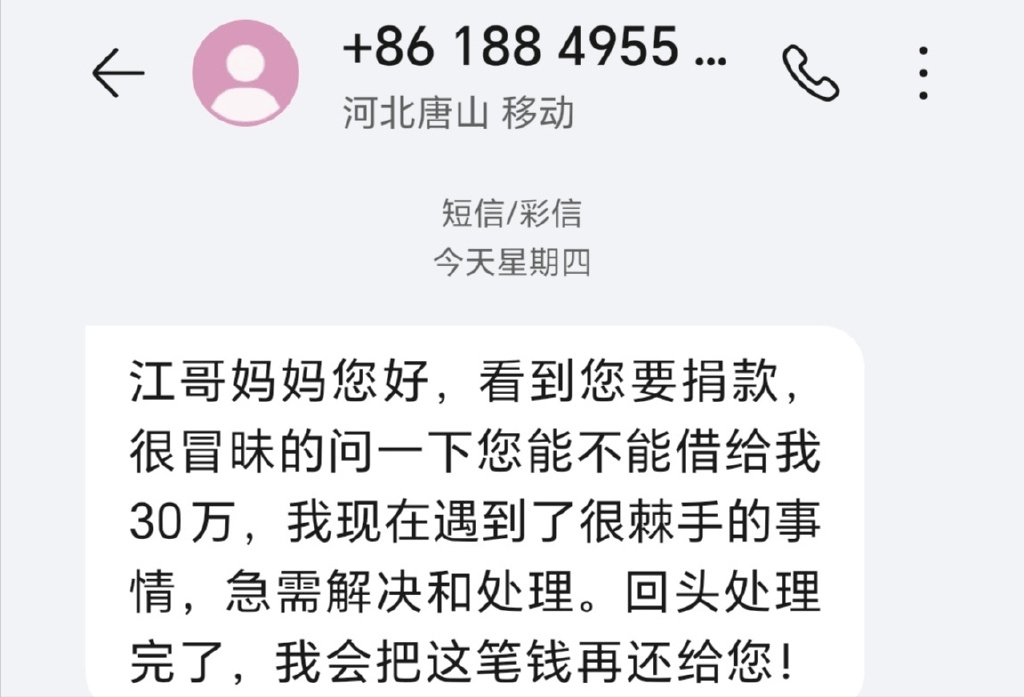 江歌妈妈收到大量借款信息，回应：若有真正的困难，请走正规途径