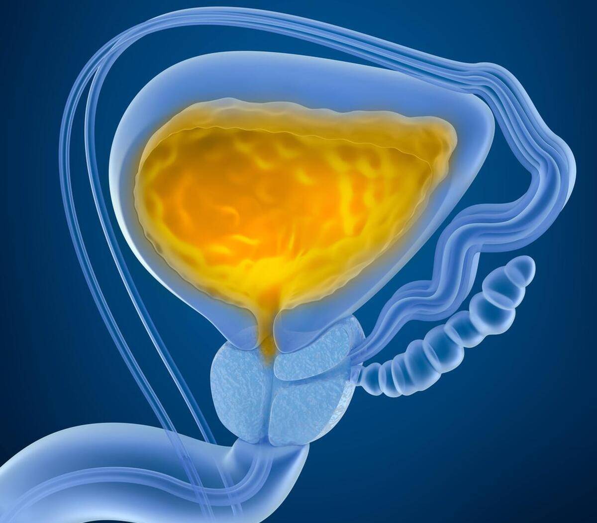 原创
            如何给你的前列腺，做一次正规的按摩？医生为你解答丨前列腺按摩一般怎么做