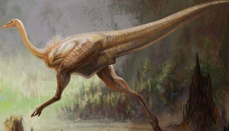 十二星座代表的恐龙，狮子座是霸王龙，天蝎座身披战甲！