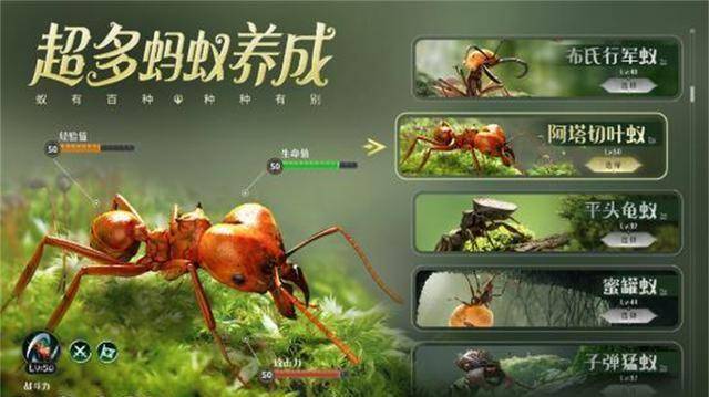 “小小蚁国”即将上线，3D写实风策略游戏，支持账号转移氪金回血
