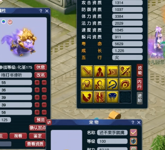 梦幻西游：观照谛听打书，11技能来6技能回！
