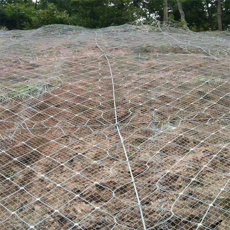 护卫无界：边防护栏网的护栏奇兵