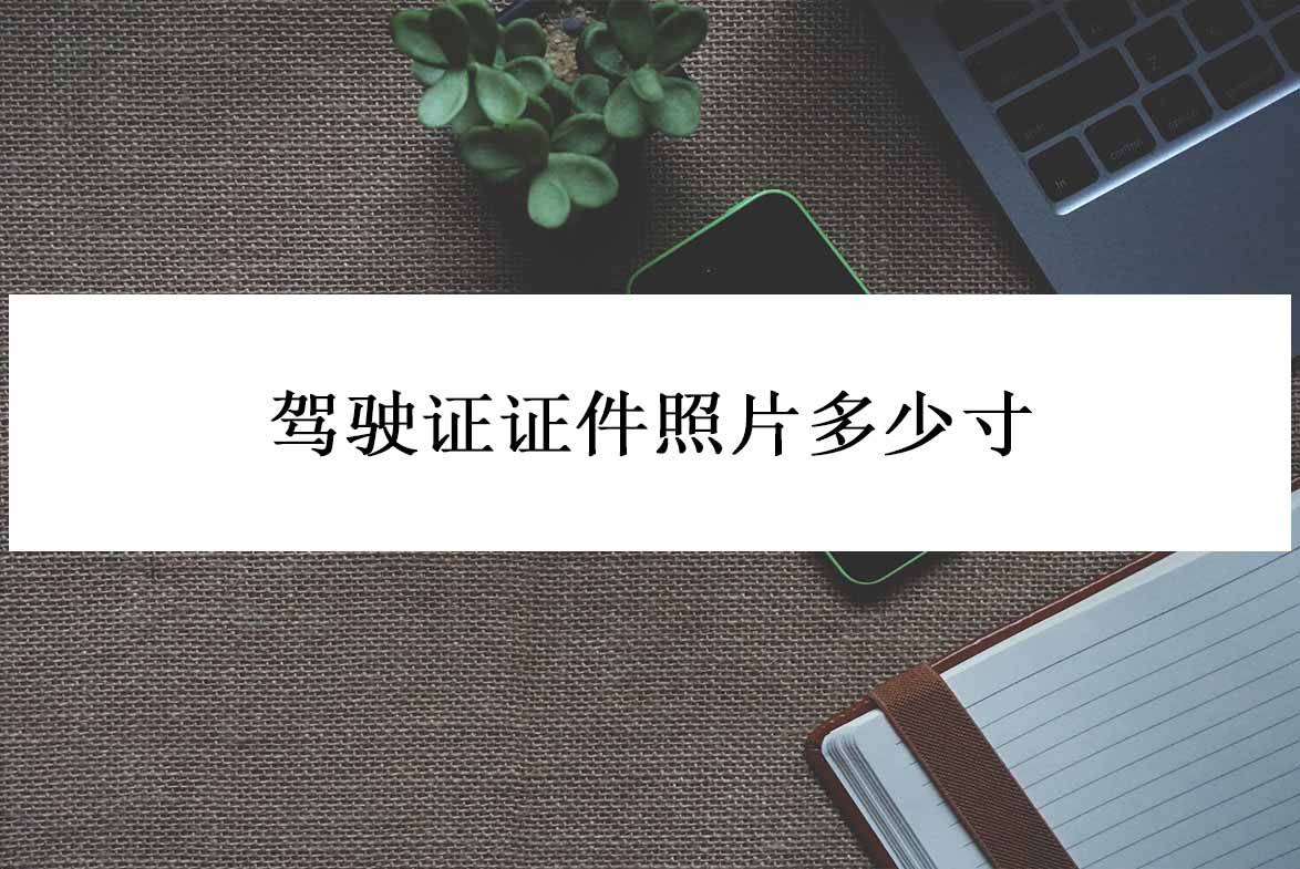驾驶证证件照片多少寸？一款软件自己制作证件照