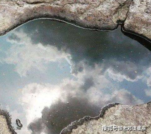 梦回水坑，蛇咬之梦的背后与友谊的温暖