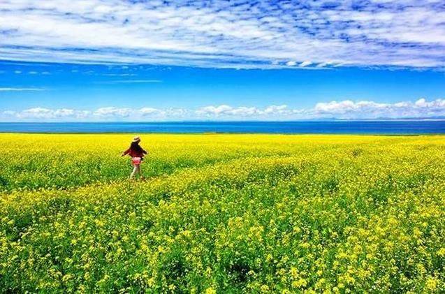 青海旅游攻略，不可错过的3大自驾环线，详细日程住宿景点