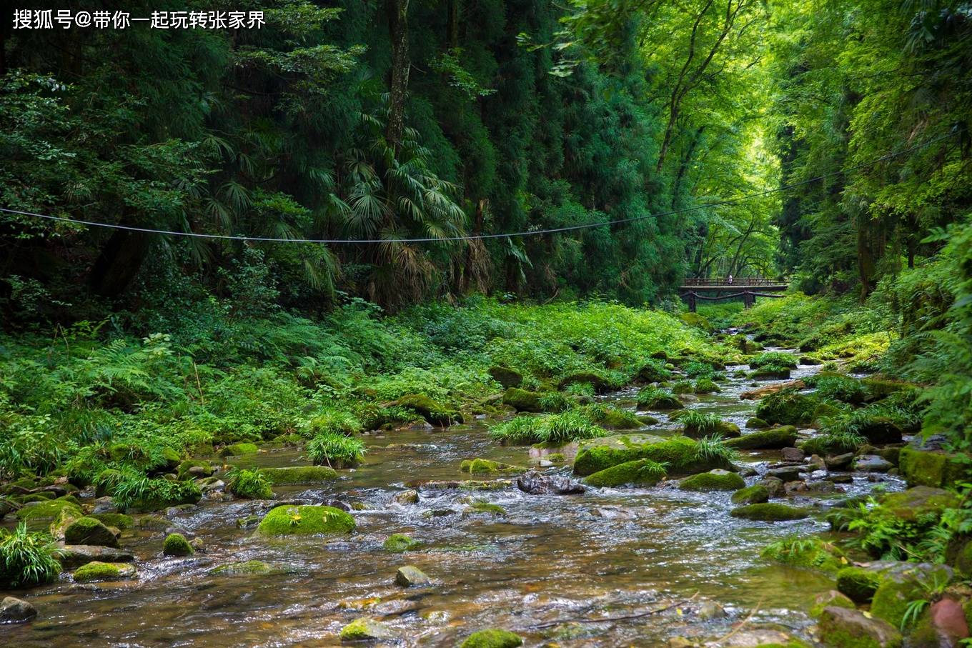 湖南湘西之旅张家界凤凰古城5天4晚自由行攻略