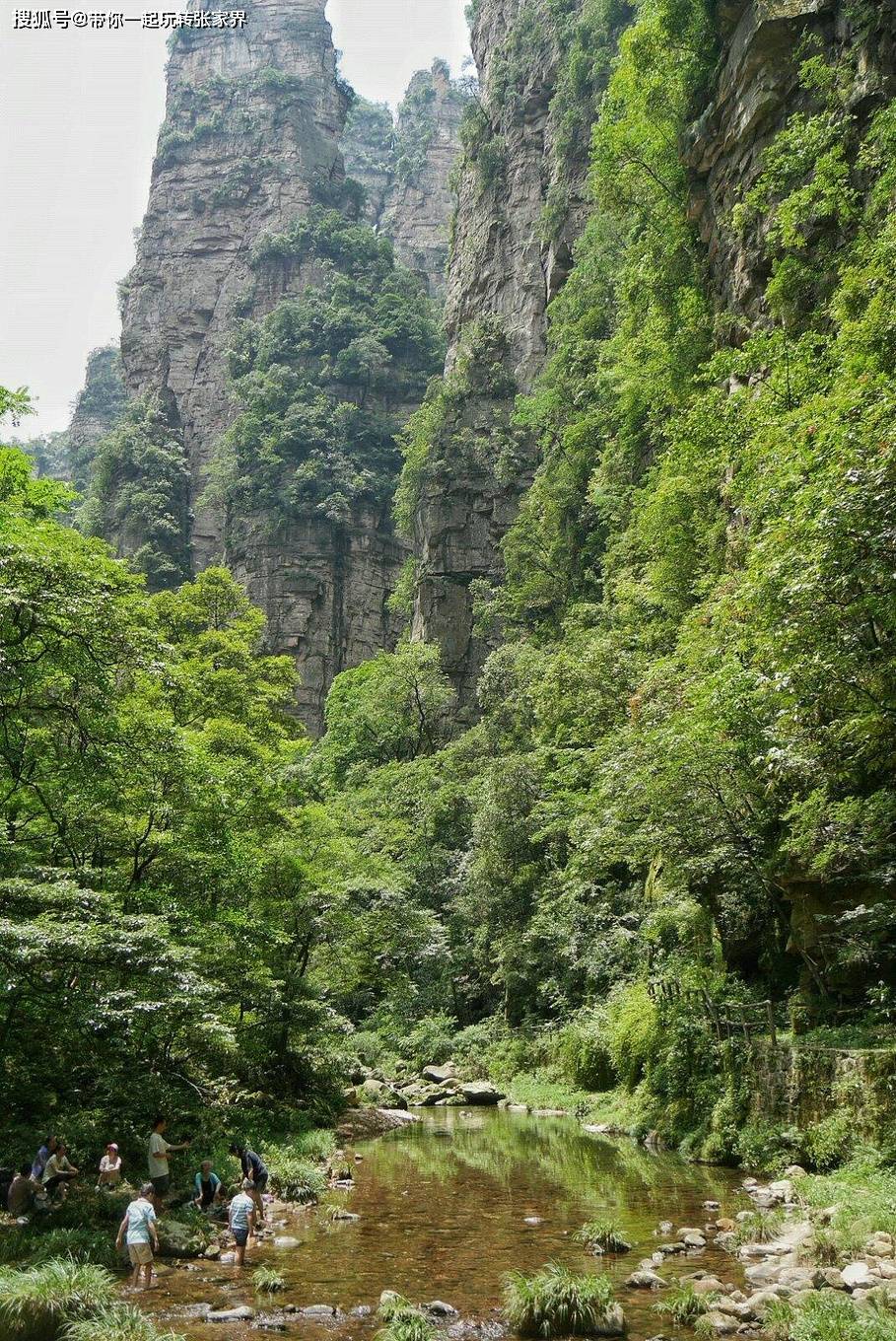 赏武陵奇峰-醉美张家界4日游自由行攻略