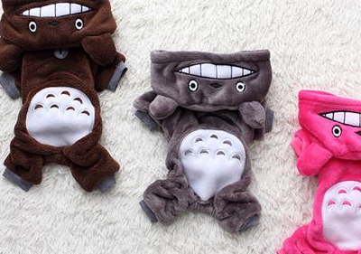 宠物小知识：柯基感冒吃双黄连可以吗，柯基感冒能吃双黄连吗-第1张图片-冲锋网