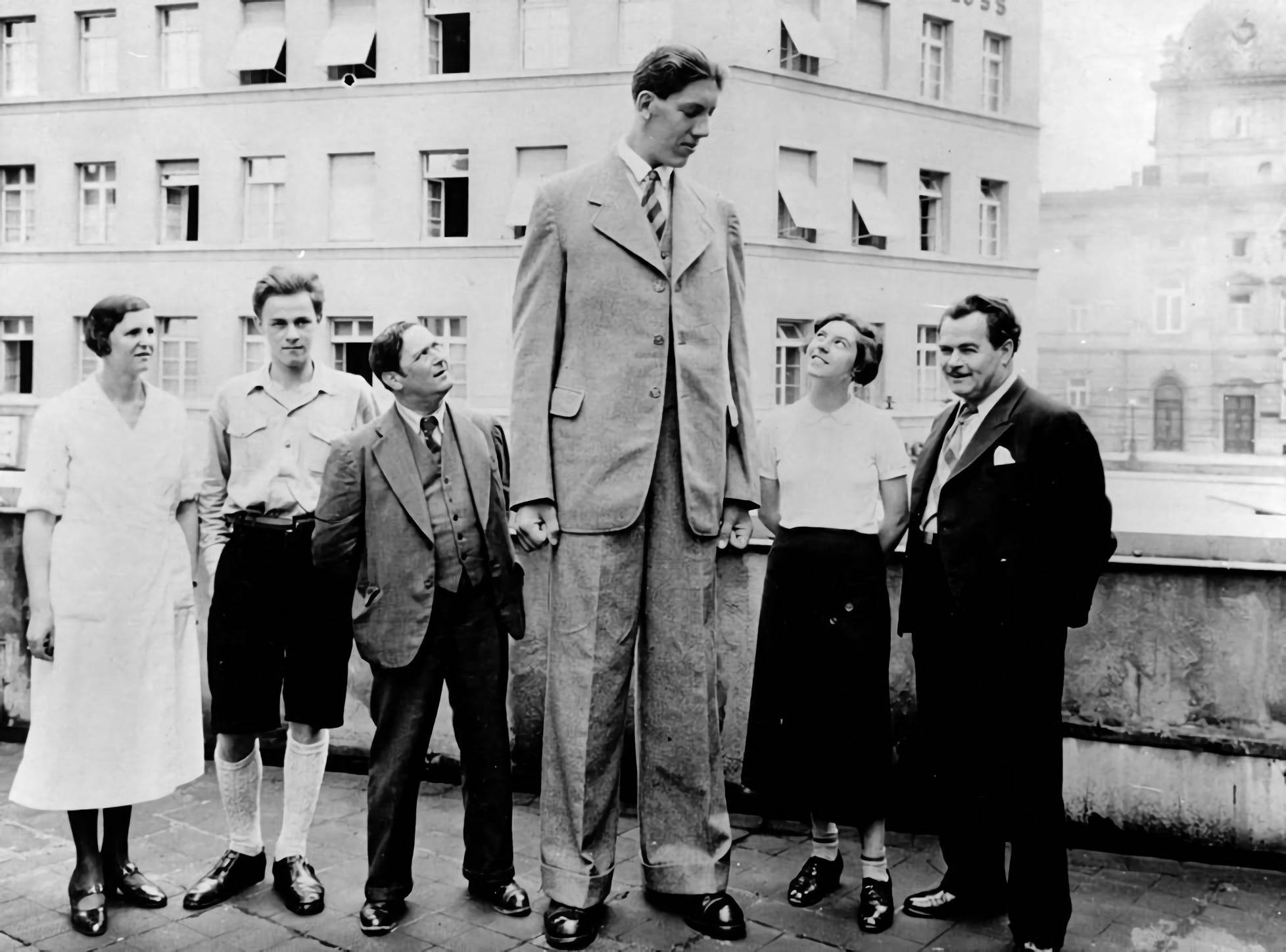 世界巨人排行榜:揭秘最高的人有多高?