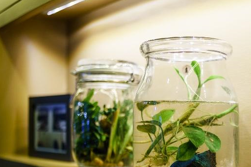 给鱼缸换水的三大禁忌，别拿宠物鱼的生命开玩笑！看完涨知识了！-第1张图片-冲锋网