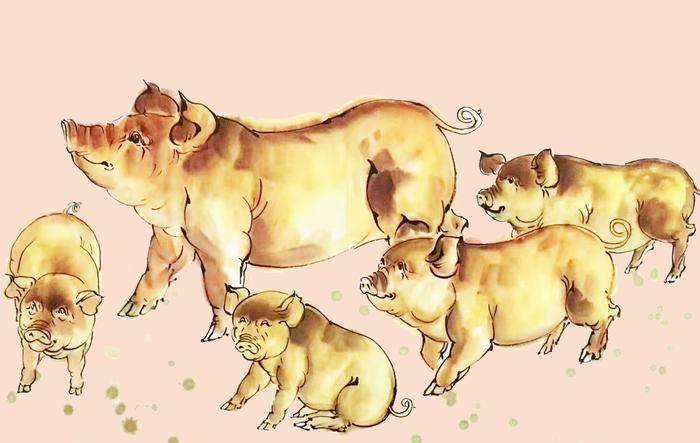 梦境解析,我梦见我要养九十九只小猪——寓意与象征的深度探索 梦境解析,我梦见我要养九十九只小猪——寓意与象征的深度探索