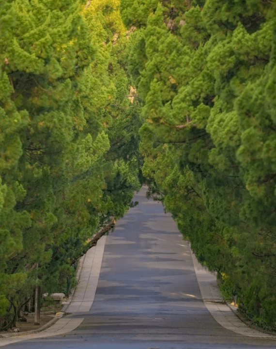 青岛旅游攻略:一个充满浪漫与文艺气息的海滨城市