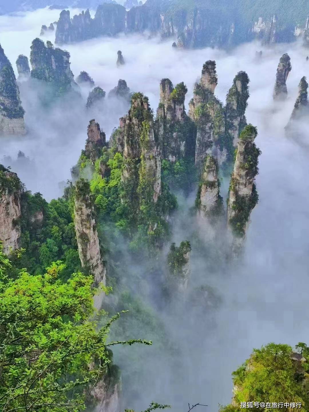 湘西之最张家界-天门山超全4天3晚旅游攻略