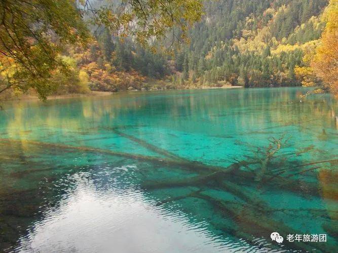 四川九寨沟丨旅游攻略丨景点介绍