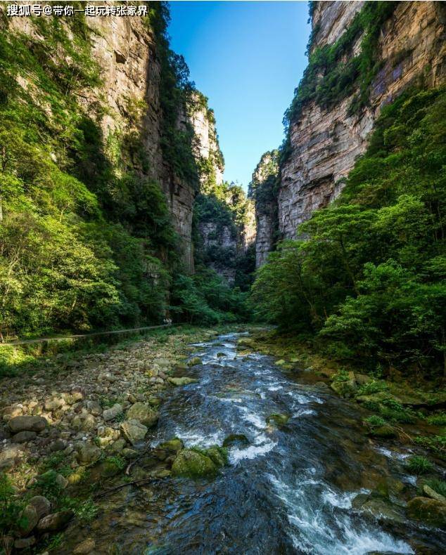 带父母到湖南张家界森林公园天门山玩4天自由行攻略