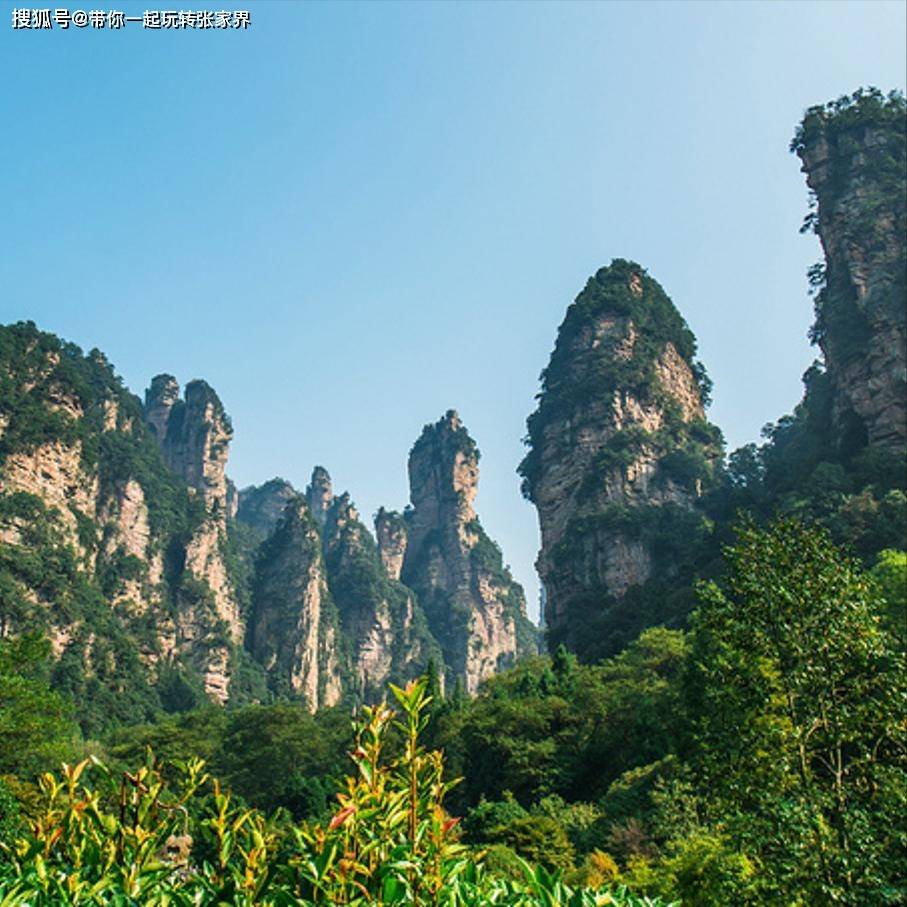 登顶天门山-张家界国家森林公园深度游玩4天3晚旅游攻略