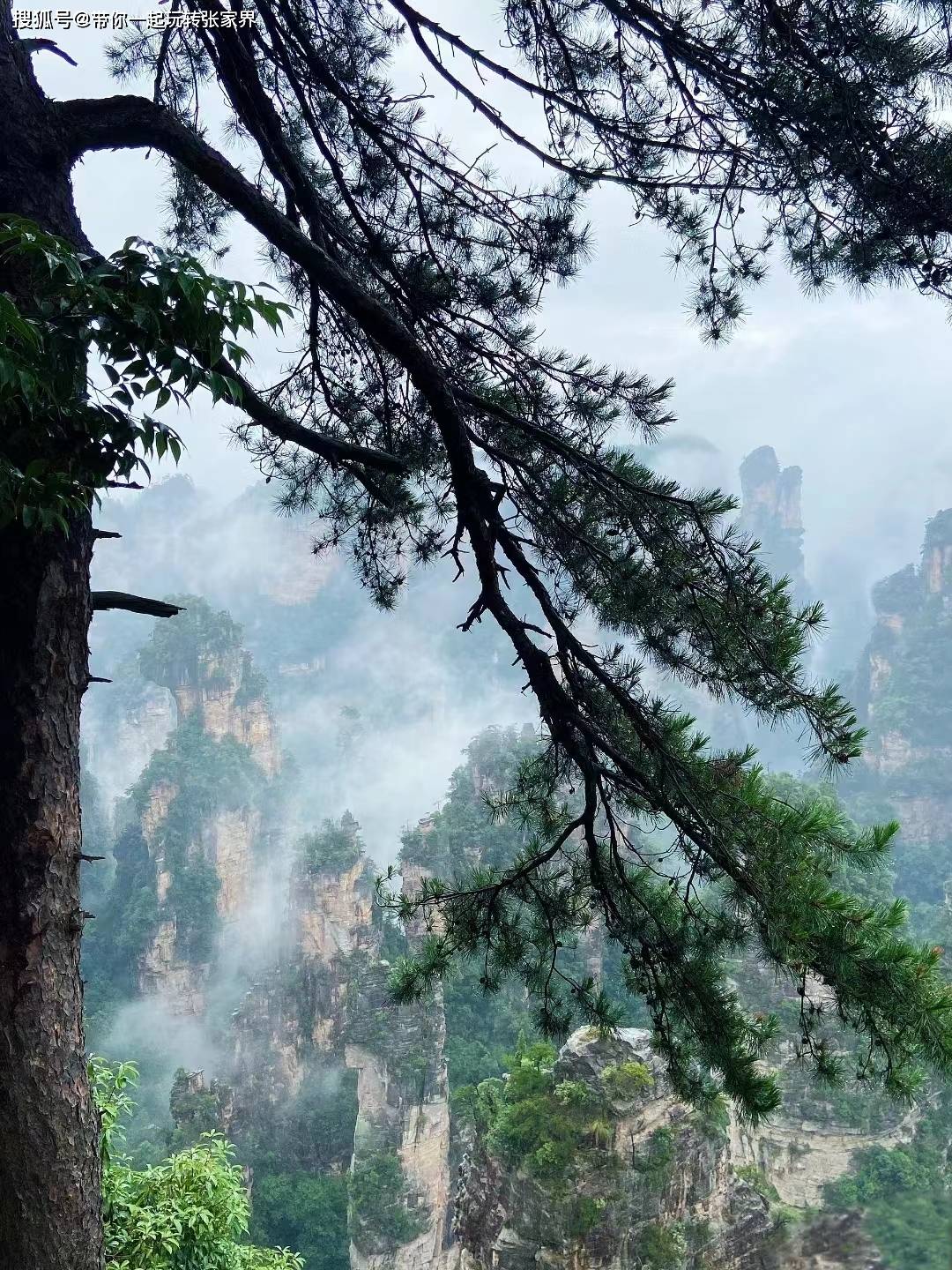 登顶天门山-张家界国家森林公园深度游玩4天3晚旅游攻略