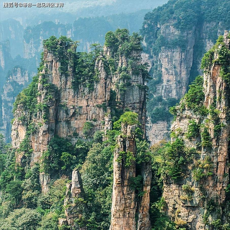 一年一次的家庭旅游季-湖南张家界湘西凤凰古城5日游攻略