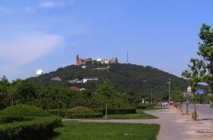 文章配图-5