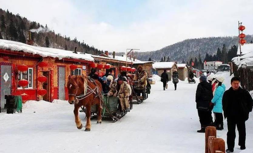 哈尔滨旅行5天游费用多少，哈尔滨五天旅游团价格 哈尔滨旅游攻略