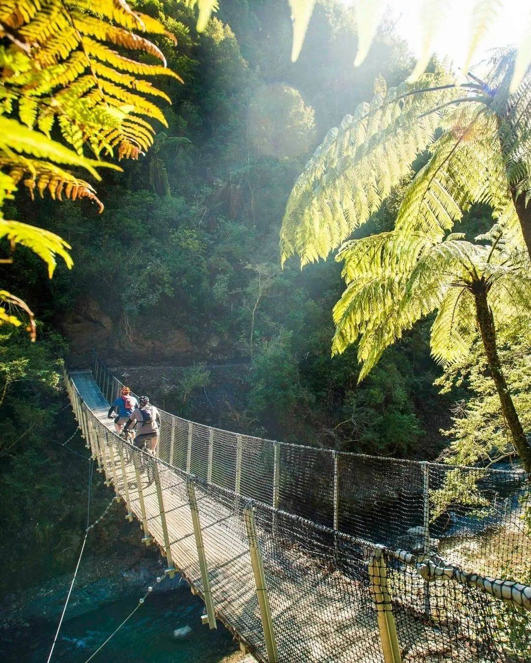 反季节旅游攻略！去全球最幸福的国家之一新西兰赏樱花