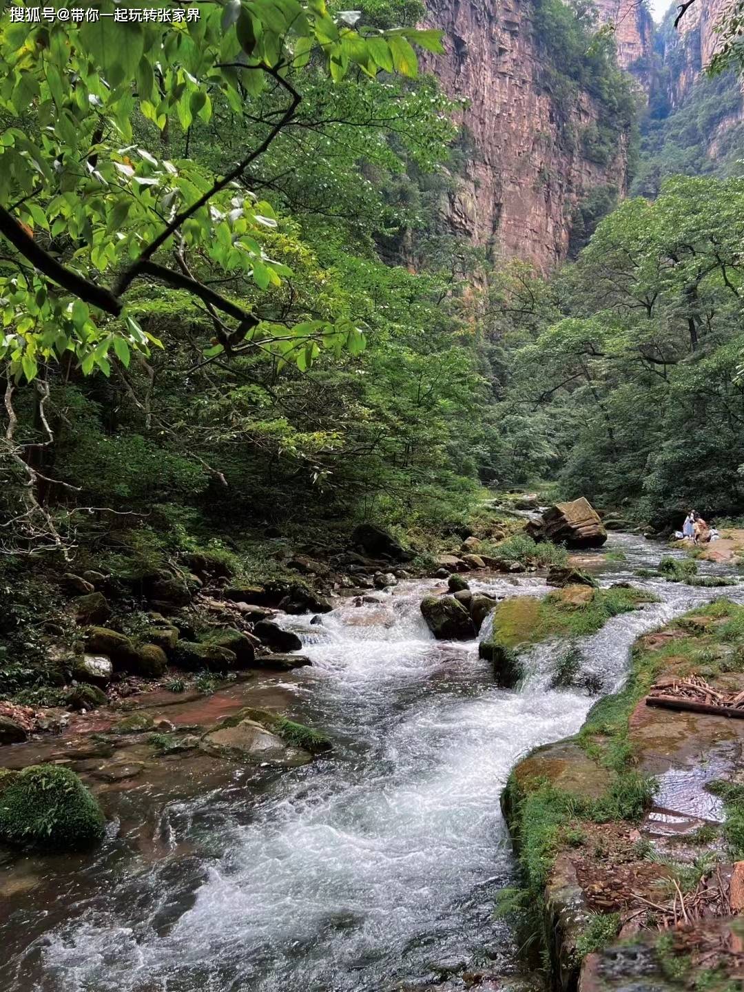 张家界国家森林公园-天门山-凤凰古城-最精华景点路线旅游攻略