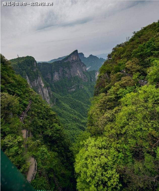 张家界森林公园深度旅游-天门山-凤凰古城自由行（详细攻略）