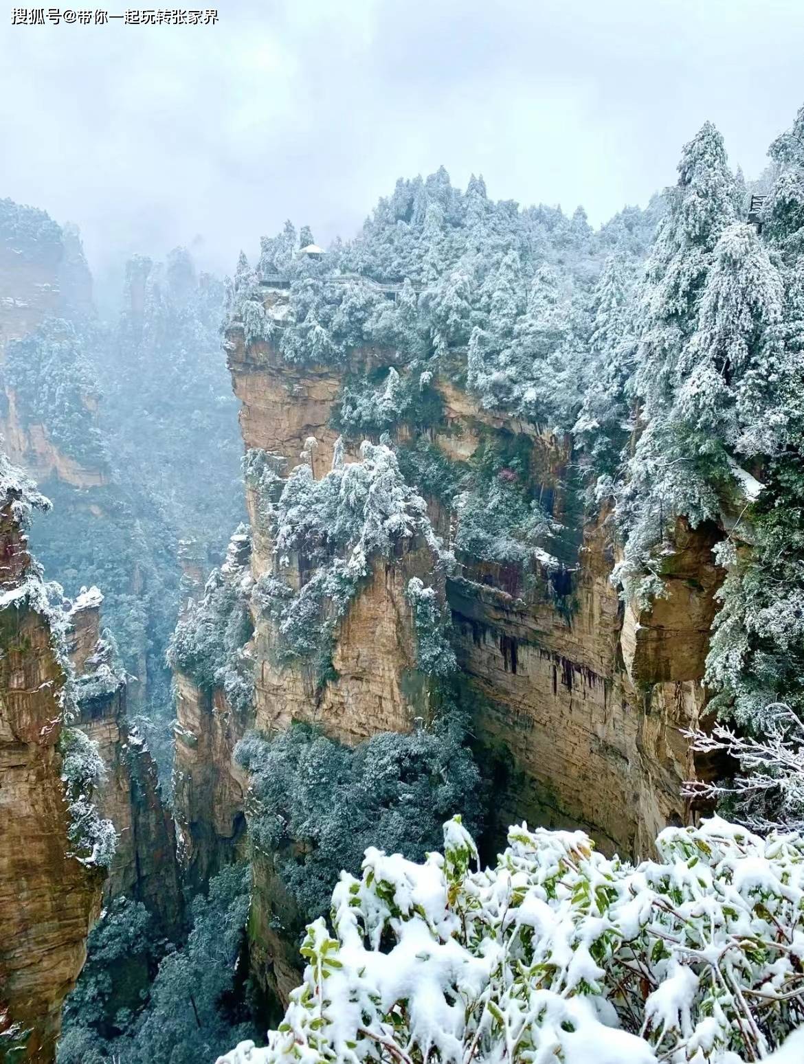 冬季雪景去张家界+凤凰古城玩5天4晚超详细旅游攻略