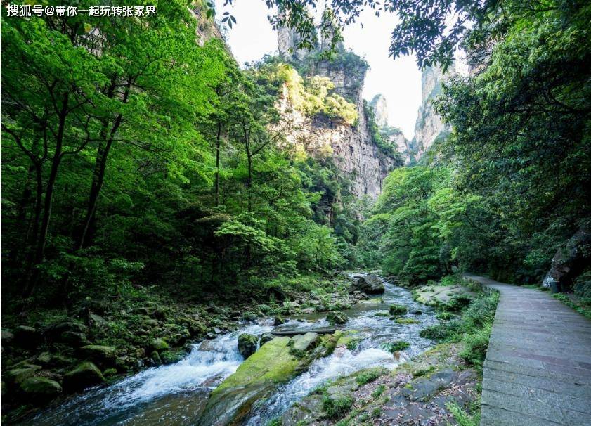 到张家界凤凰古城来旅游一定要看的几大精华景点-打卡5日游攻略