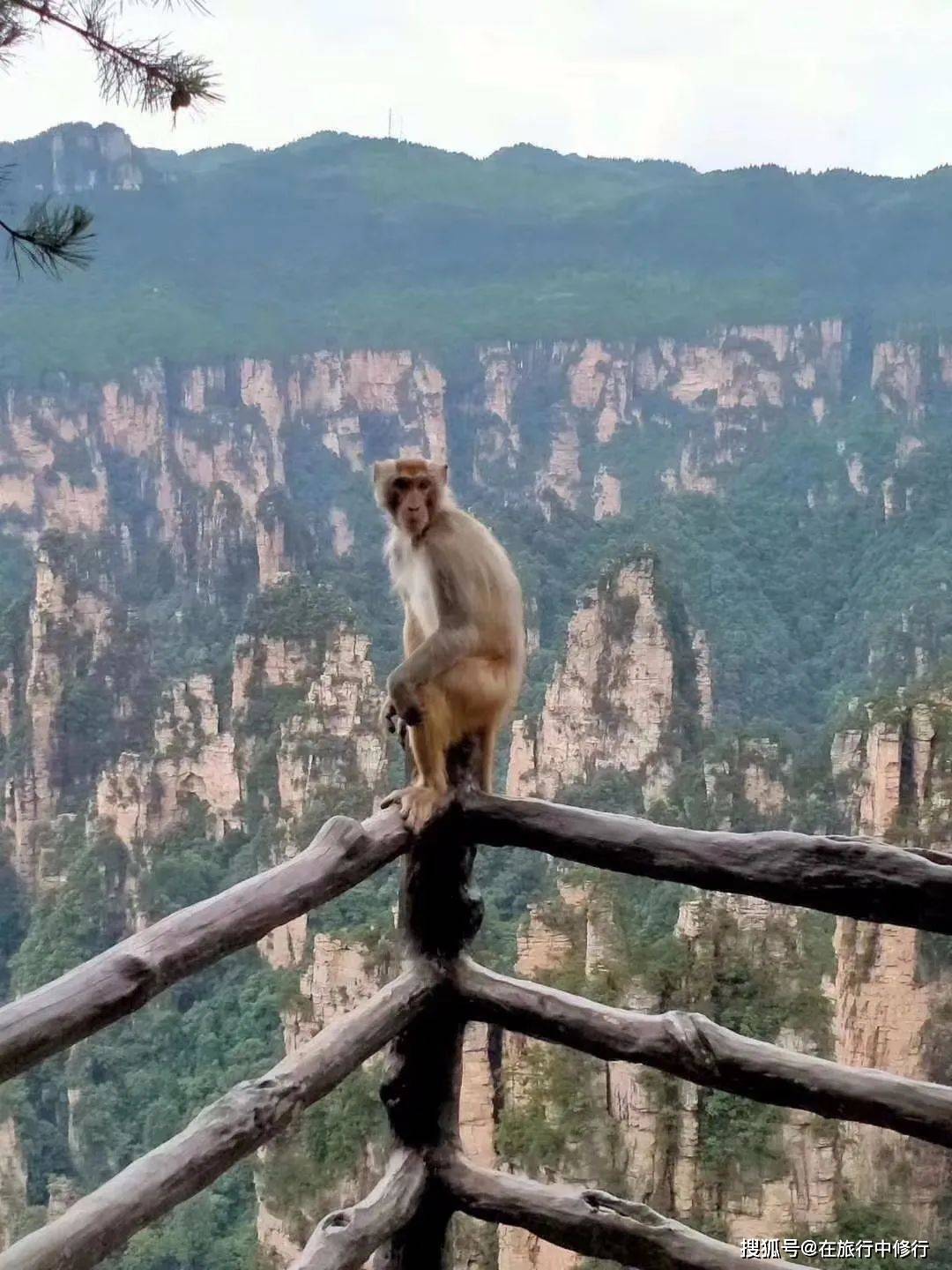 元旦带你玩转张家界凤凰5天4晚深度游旅游攻略