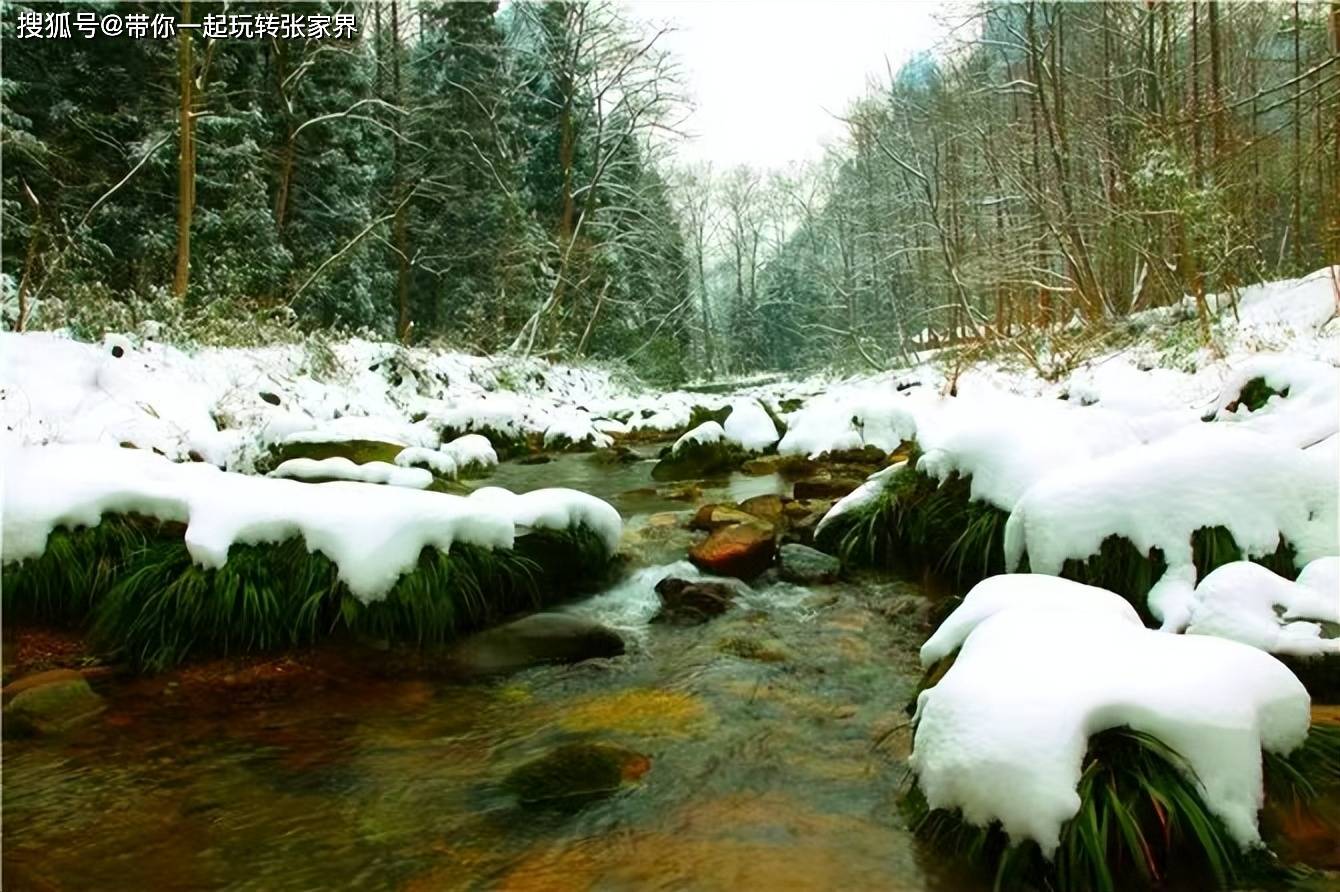 这个冬季看雪景-去张家界凤凰古城游玩5天4晚自由行攻略