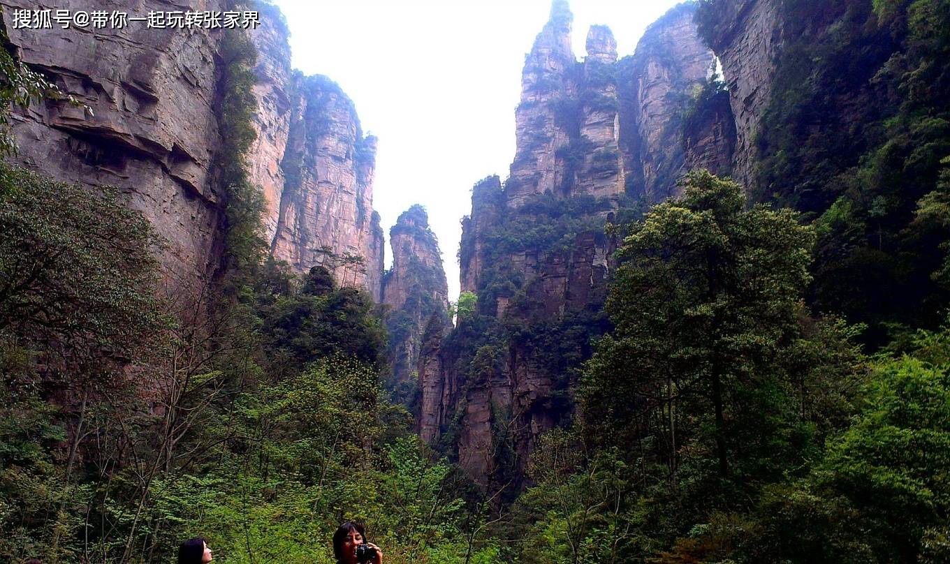 元旦赶紧带上家人到张家界旅游跨年-5天自由行保姆级旅游攻略