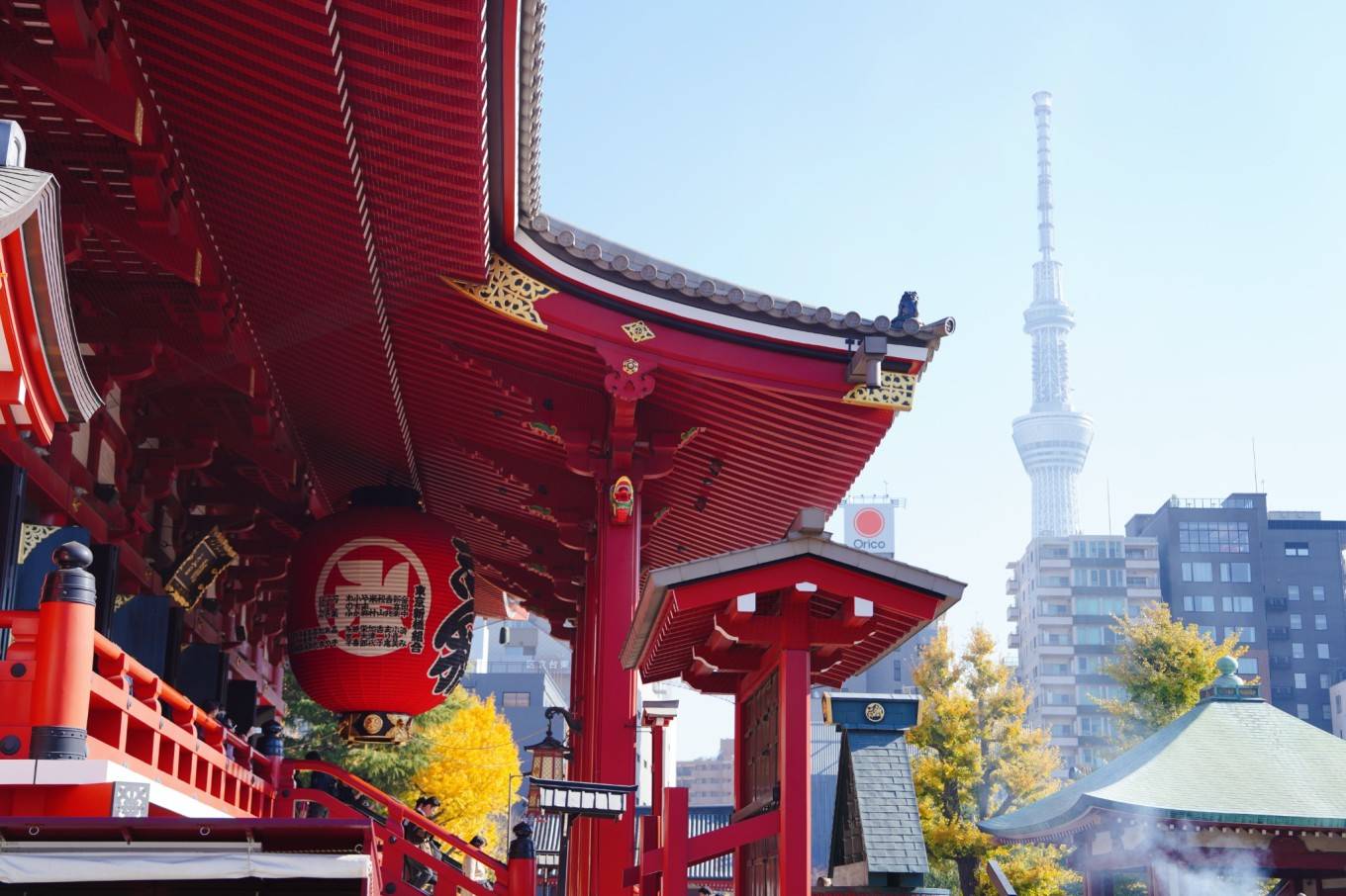 第十三次日本自由行，去富士山骑行吧！+深度探索东京秘境