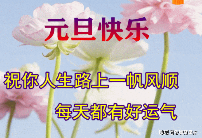 2024元旦快乐精选祝福图片大全，最新龙年问候祝福语