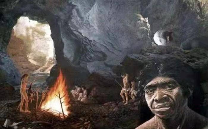 重大发现：巴拿马猴子可能步入石器时代，地球或要进入第二文明？