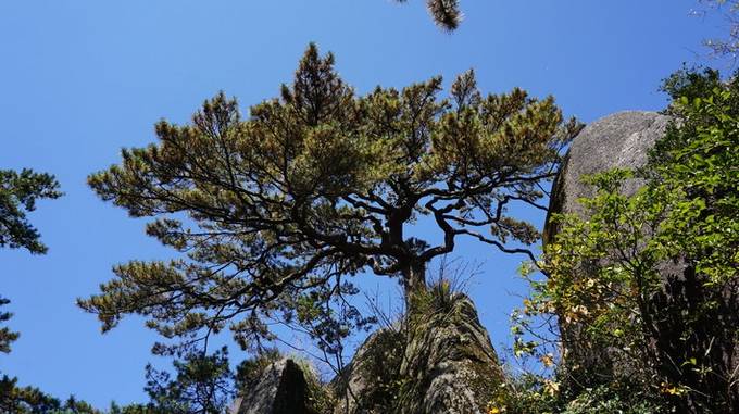 黄山5日游自由行攻略，黄山五天四晚旅游费用，人均1500