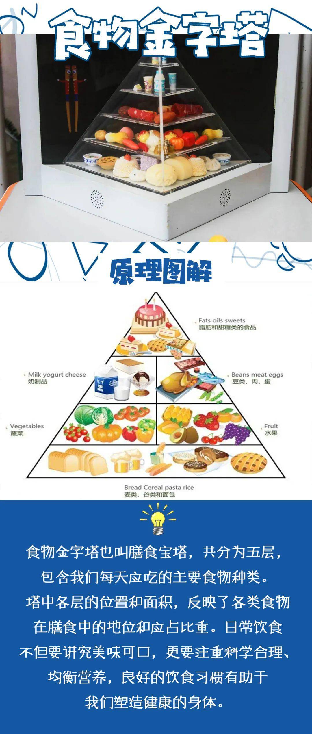小艾带你云游中国流动科技馆第四期你知道食物金字塔吗