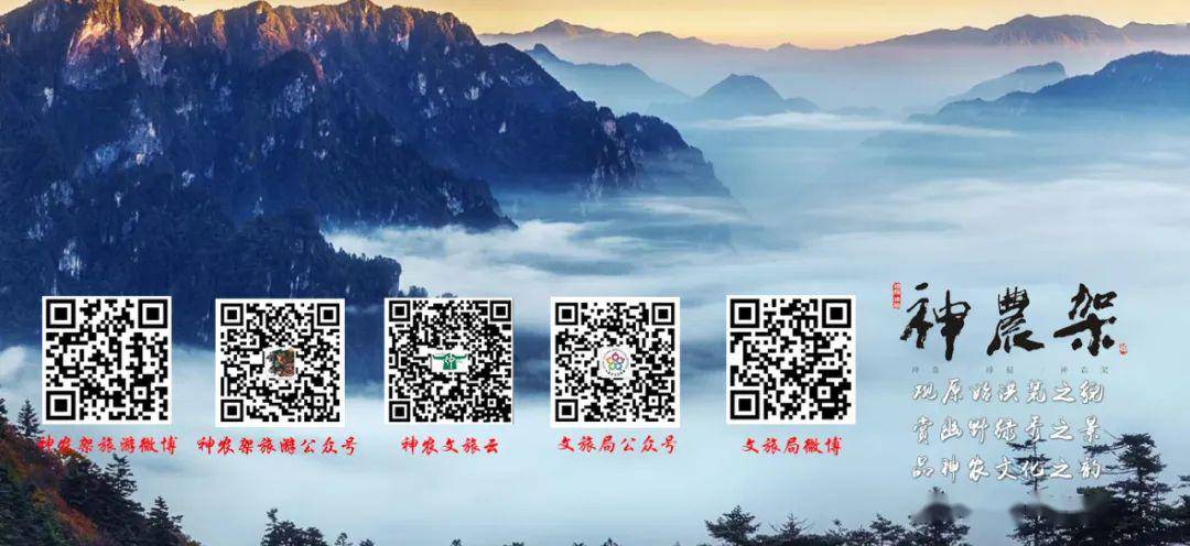 架林区文化和旅游局神农架旅游资讯网神农文旅云官方app：神农文旅云-end-