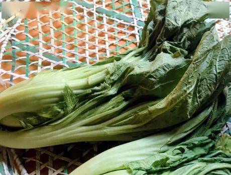 泡菜不放盐怎么做的 f1f14d21c85a40e1820d08b26c559719.jpeg